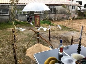 IMG_1823
